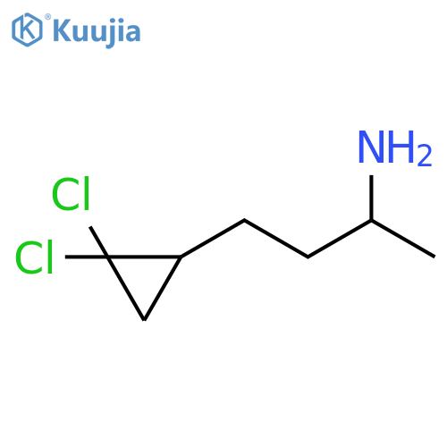 4-(2,2-dichlorocyclopropyl)butan-2-amine structure