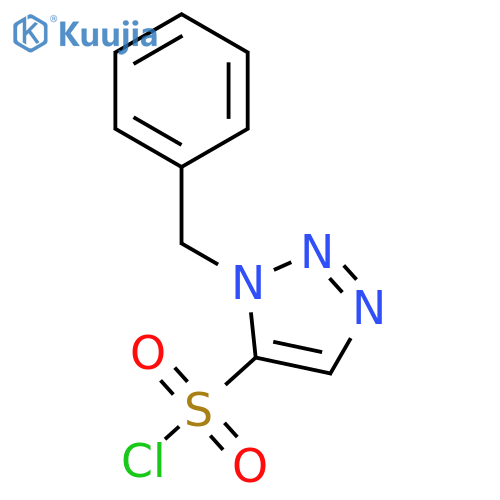 1-benzyl-1H-1,2,3-triazole-5-sulfonyl chloride structure
