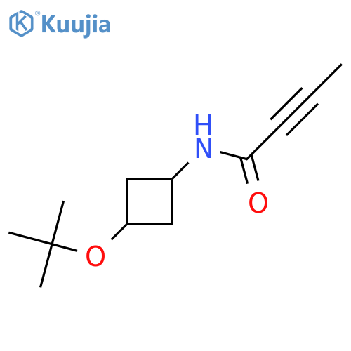 N-3-(tert-butoxy)cyclobutylbut-2-ynamide structure