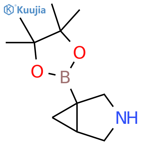 1-(tetramethyl-1,3,2-dioxaborolan-2-yl)-3-azabicyclo3.1.0hexane structure