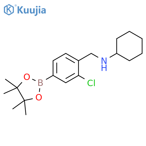 3-Chloro-4-(N-cyclohexylaminomethyl)phenylboronic acid, pinacol ester structure