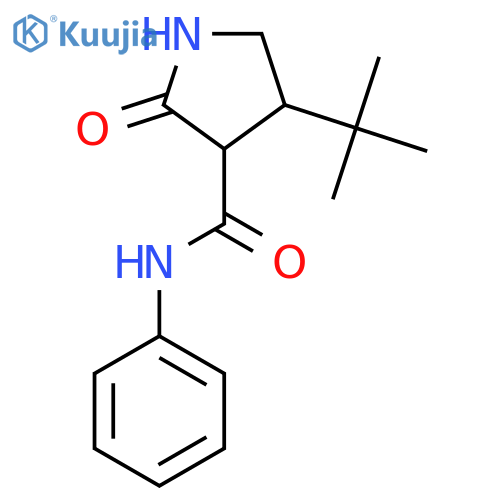 4-tert-butyl-2-oxo-N-phenylpyrrolidine-3-carboxamide structure
