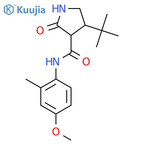 4-tert-butyl-N-(4-methoxy-2-methylphenyl)-2-oxopyrrolidine-3-carboxamide structure