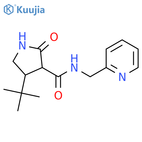 4-tert-butyl-2-oxo-N-[(pyridin-2-yl)methyl]pyrrolidine-3-carboxamide structure