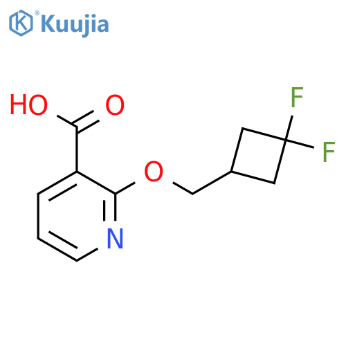 2-((3,3-Difluorocyclobutyl)methoxy)nicotinic acid structure