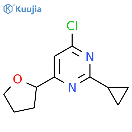 4-Chloro-2-cyclopropyl-6-(tetrahydrofuran-2-yl)pyrimidine structure