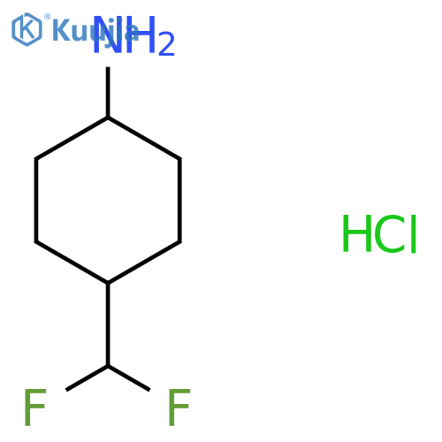 (1r,4r)-4-(difluoromethyl)cyclohexan-1-amine hydrochloride structure
