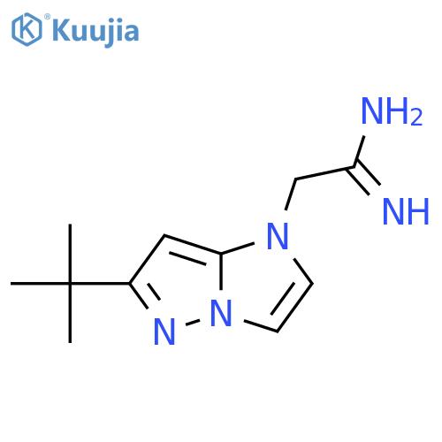 2-(6-(Tert-butyl)-1H-imidazo[1,2-b]pyrazol-1-yl)acetimidamide structure