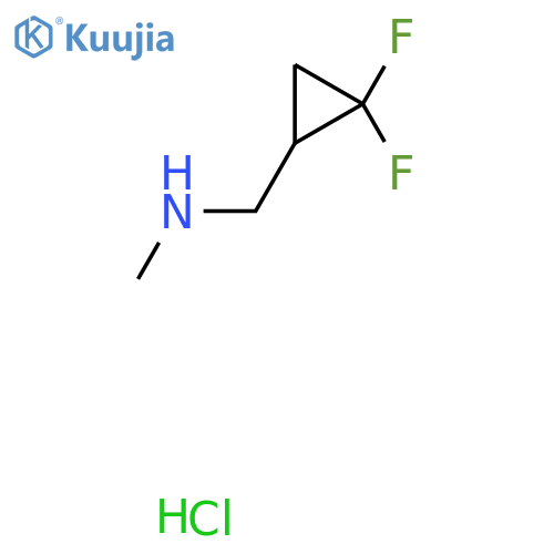 1-(2,2-difluorocyclopropyl)-N-methylmethanamine hydrochloride structure