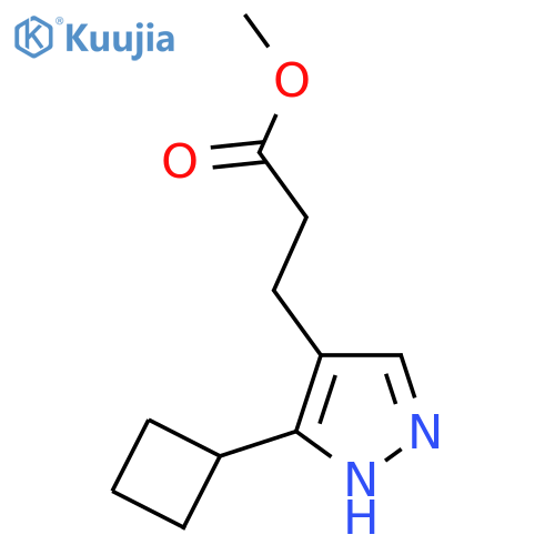 methyl 3-(3-cyclobutyl-1H-pyrazol-4-yl)propanoate structure