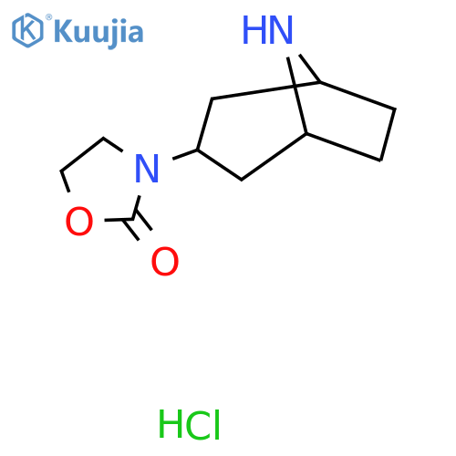 3-(8-azabicyclo3.2.1octan-3-yl)oxazolidin-2-one hydrochloride structure