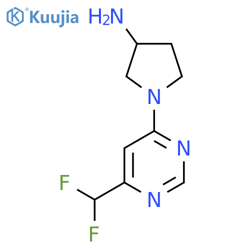 1-[6-(difluoromethyl)pyrimidin-4-yl]pyrrolidin-3-amine structure