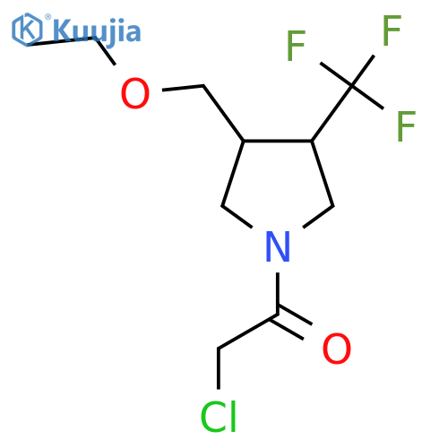 2-Chloro-1-[3-(ethoxymethyl)-4-(trifluoromethyl)pyrrolidin-1-yl]ethan-1-one structure