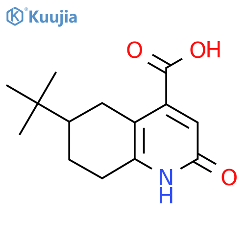 6-tert-butyl-2-hydroxy-5,6,7,8-tetrahydroquinoline-4-carboxylic acid structure