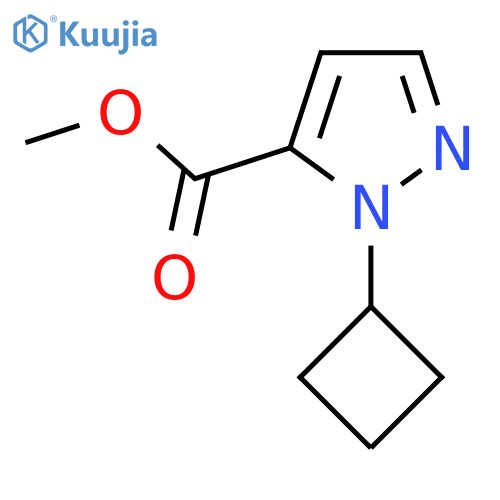 methyl 1-cyclobutyl-1H-pyrazole-5-carboxylate structure