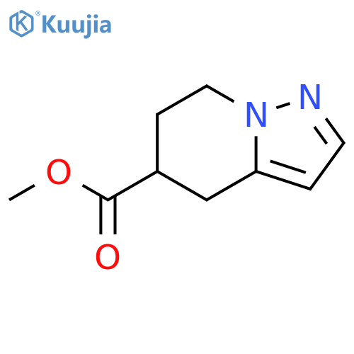 methyl 4,5,6,7-tetrahydropyrazolo[1,5-a]pyridine-5-carboxylate structure
