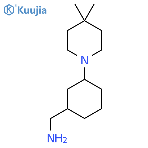 [3-(4,4-Dimethylpiperidin-1-yl)cyclohexyl]methanamine structure
