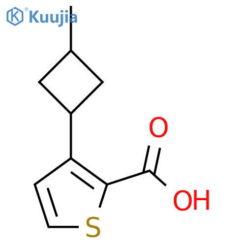 3-(3-Methylcyclobutyl)thiophene-2-carboxylic acid structure