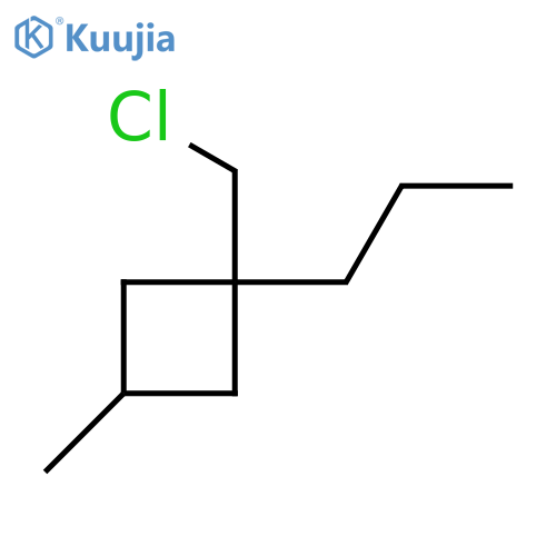 Cyclobutane, 1-(chloromethyl)-3-methyl-1-propyl- structure