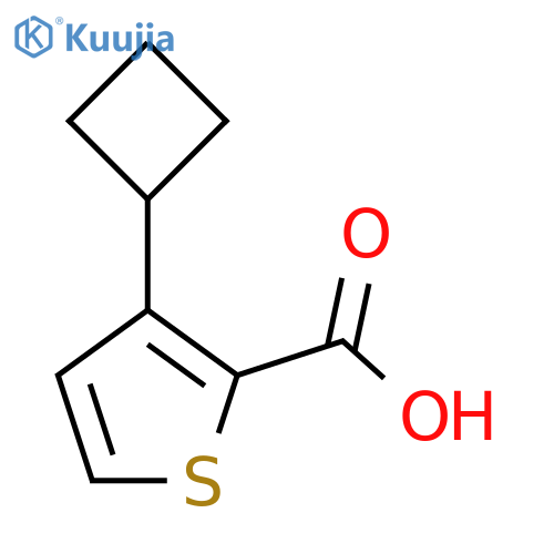 3-Cyclobutylthiophene-2-carboxylic acid structure