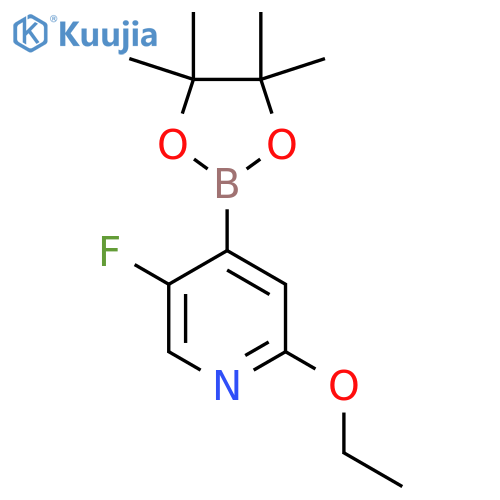 5-Fluoro-2-(ethoxy)-pyridine-4-boronic acid pinacol ester structure