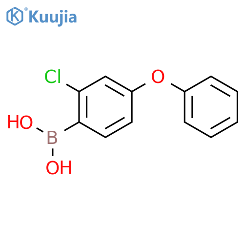 2-Chloro-4-(phenoxy)phenylboronic acid structure