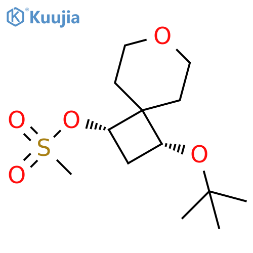 rac-(1S,3R)-3-(tert-butoxy)-7-oxaspiro[3.5]nonan-1-yl methanesulfonate, cis structure