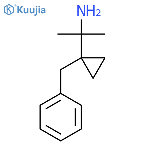 2-(1-benzylcyclopropyl)propan-2-amine structure
