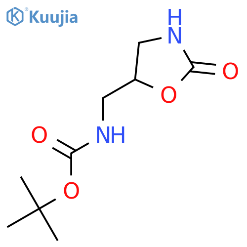 tert-Butyl N-(2-oxo-1,3-oxazolan-5-yl)methyl-carbamate structure