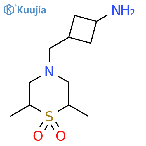2,6-Dimethyl-4-{[(1r,3r)-3-aminocyclobutyl]methyl}-1lambda6-thiomorpholine-1,1-dione structure