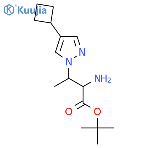 tert-butyl 2-amino-3-(4-cyclobutyl-1H-pyrazol-1-yl)butanoate structure