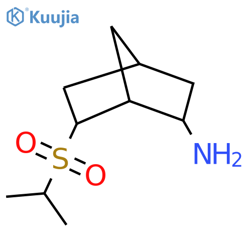 6-(Propane-2-sulfonyl)bicyclo[2.2.1]heptan-2-amine structure