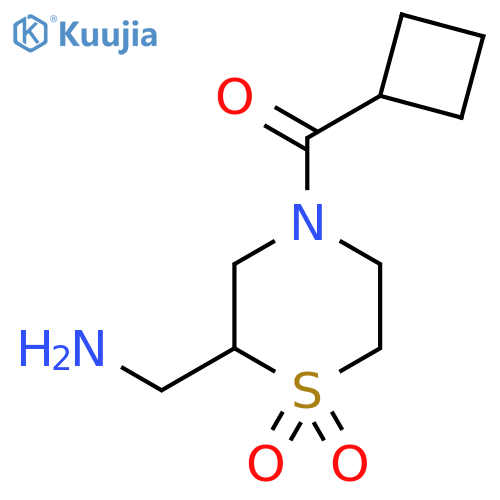 2-(Aminomethyl)-4-cyclobutanecarbonyl-1lambda6-thiomorpholine-1,1-dione structure