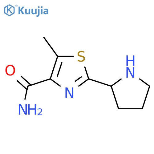 5-Methyl-2-(pyrrolidin-2-yl)-1,3-thiazole-4-carboxamide structure