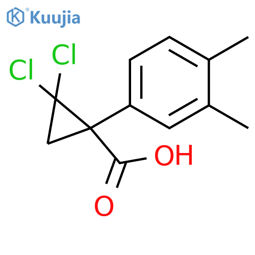 Cyclopropanecarboxylic acid, 2,2-dichloro-1-(3,4-dimethylphenyl)- structure