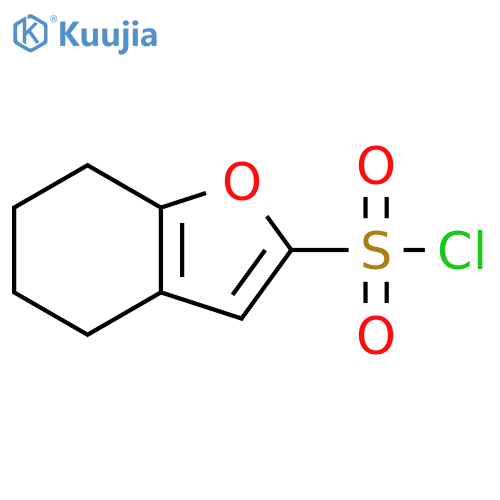 2-Benzofuransulfonyl chloride, 4,5,6,7-tetrahydro- structure