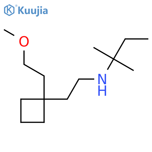 {2-[1-(2-Methoxyethyl)cyclobutyl]ethyl}(2-methylbutan-2-yl)amine structure