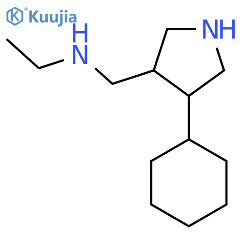 [(4-Cyclohexylpyrrolidin-3-yl)methyl](ethyl)amine structure