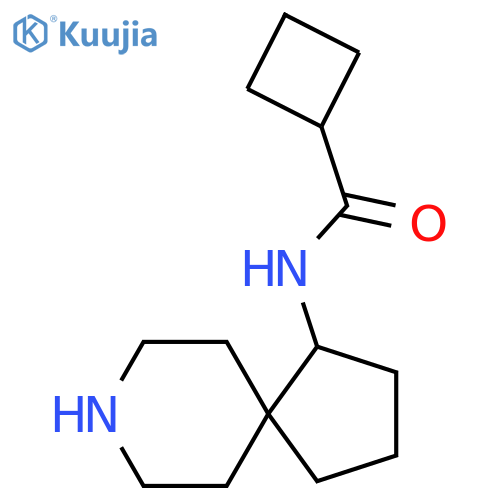 N-{8-azaspiro[4.5]decan-1-yl}cyclobutanecarboxamide structure