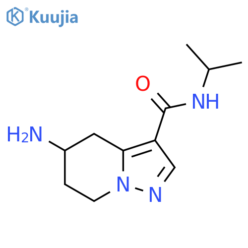 5-amino-N-(propan-2-yl)-4H,5H,6H,7H-pyrazolo[1,5-a]pyridine-3-carboxamide structure