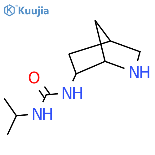 1-{2-Azabicyclo[2.2.1]heptan-6-yl}-3-(propan-2-yl)urea structure