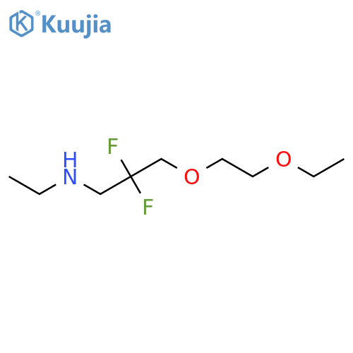 [3-(2-Ethoxyethoxy)-2,2-difluoropropyl](ethyl)amine structure