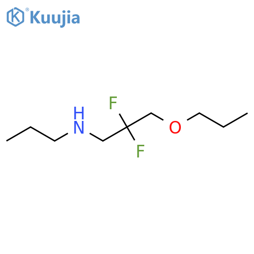 (2,2-Difluoro-3-propoxypropyl)(propyl)amine structure