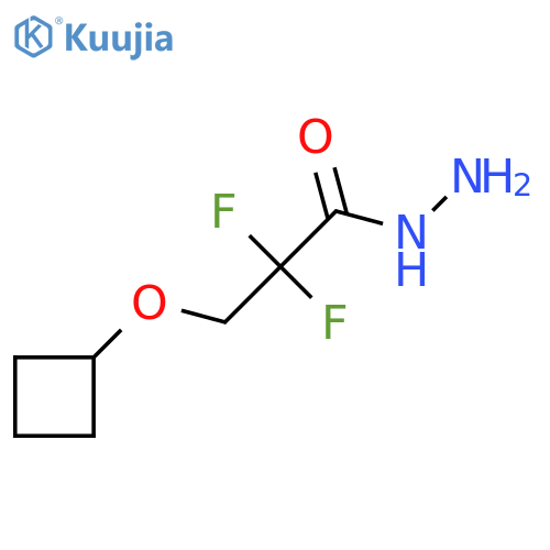 3-Cyclobutyloxy-2,2-difluoropropanehydrazide structure