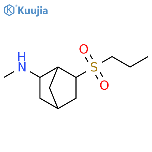 Bicyclo[2.2.1]heptan-2-amine, N-methyl-6-(propylsulfonyl)- structure