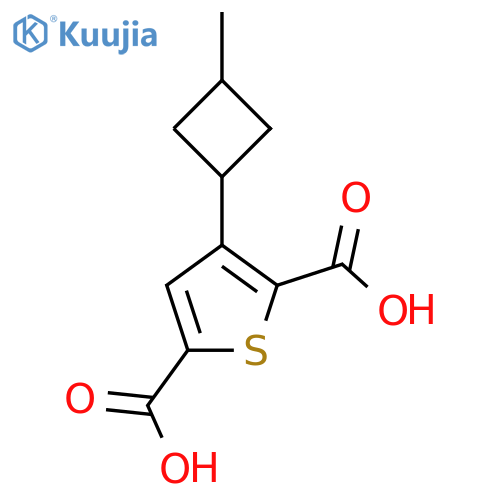 3-(3-Methylcyclobutyl)thiophene-2,5-dicarboxylic acid structure