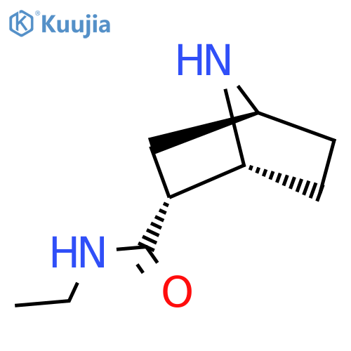 rac-(1R,2R,4S)-N-ethyl-7-azabicyclo[2.2.1]heptane-2-carboxamide structure