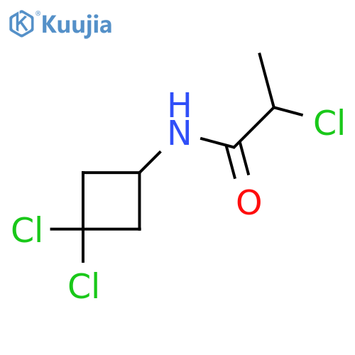 2-chloro-N-(3,3-dichlorocyclobutyl)propanamide structure