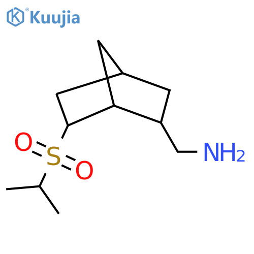 [6-(Propane-2-sulfonyl)bicyclo[2.2.1]heptan-2-yl]methanamine structure