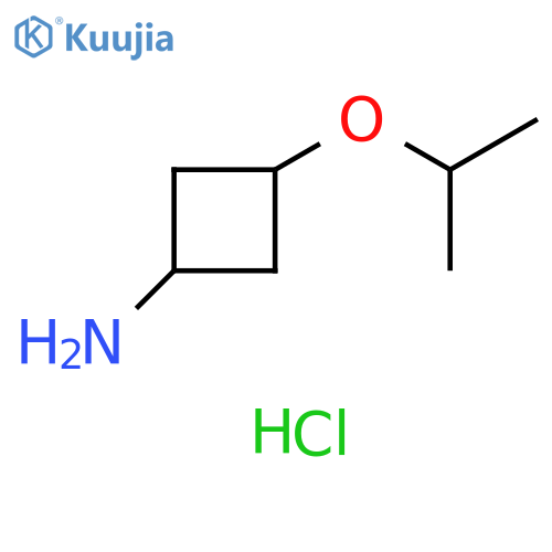 3-(propan-2-yloxy)cyclobutan-1-amine hydrochloride structure